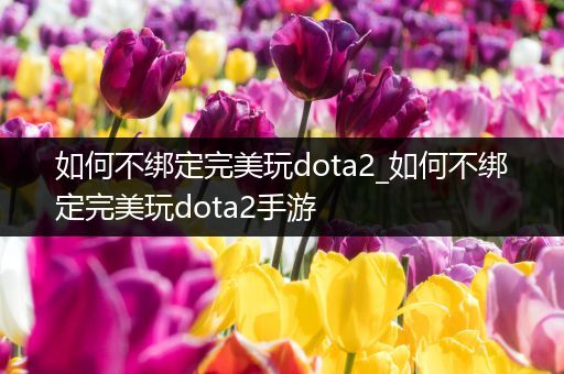 如何不绑定完美玩dota2_如何不绑定完美玩dota2手游