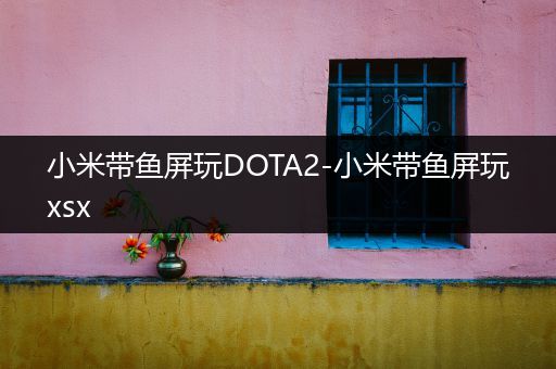 小米带鱼屏玩DOTA2-小米带鱼屏玩xsx