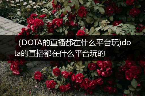 （DOTA的直播都在什么平台玩)dota的直播都在什么平台玩的