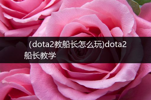 （dota2教船长怎么玩)dota2船长教学