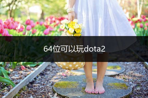 64位可以玩dota2