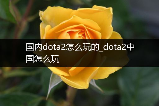 国内dota2怎么玩的_dota2中国怎么玩