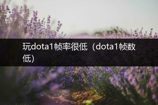 玩dota1帧率很低（dota1帧数低）