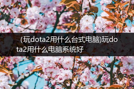 （玩dota2用什么台式电脑)玩dota2用什么电脑系统好