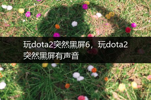 玩dota2突然黑屏6，玩dota2突然黑屏有声音