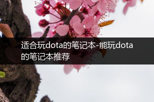 适合玩dota的笔记本-能玩dota的笔记本推荐