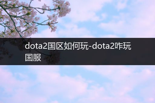 dota2国区如何玩-dota2咋玩国服