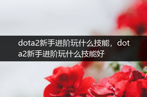 dota2新手进阶玩什么技能，dota2新手进阶玩什么技能好