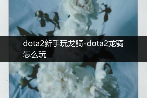 dota2新手玩龙骑-dota2龙骑怎么玩