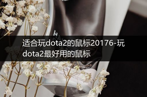 适合玩dota2的鼠标20176-玩dota2最好用的鼠标