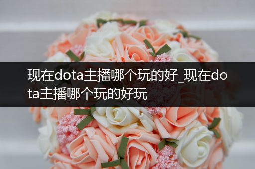 现在dota主播哪个玩的好_现在dota主播哪个玩的好玩