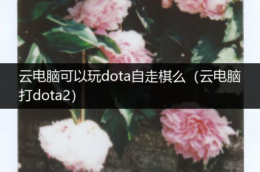 云电脑可以玩dota自走棋么（云电脑打dota2）