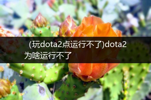 （玩dota2点运行不了)dota2为啥运行不了