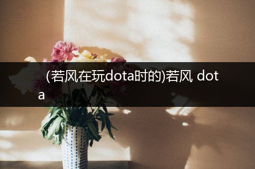 （若风在玩dota时的)若风 dota