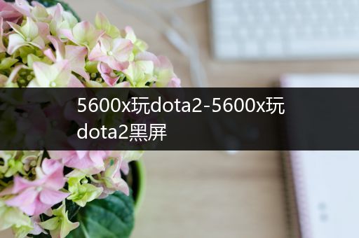 5600x玩dota2-5600x玩dota2黑屏