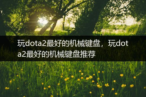 玩dota2最好的机械键盘，玩dota2最好的机械键盘推荐
