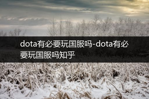 dota有必要玩国服吗-dota有必要玩国服吗知乎