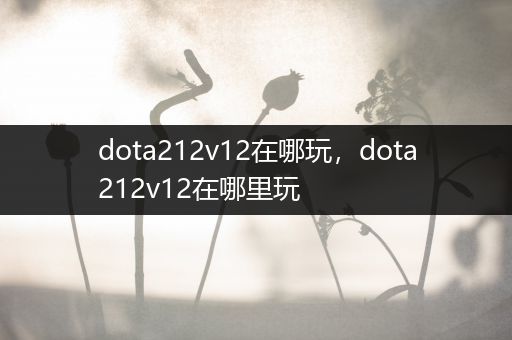 dota212v12在哪玩，dota212v12在哪里玩