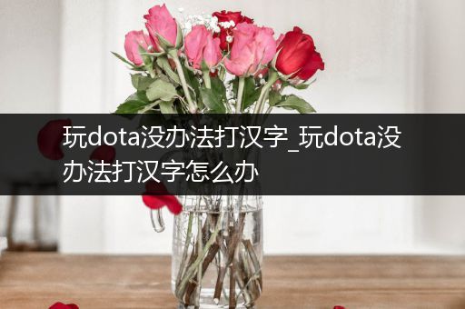 玩dota没办法打汉字_玩dota没办法打汉字怎么办