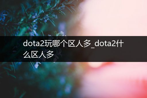 dota2玩哪个区人多_dota2什么区人多