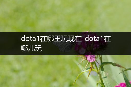 dota1在哪里玩现在-dota1在哪儿玩