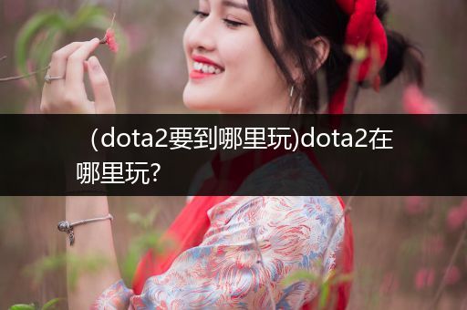 （dota2要到哪里玩)dota2在哪里玩?
