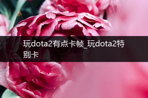 玩dota2有点卡帧_玩dota2特别卡