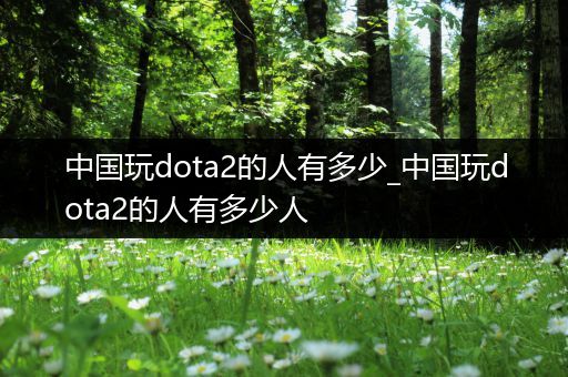 中国玩dota2的人有多少_中国玩dota2的人有多少人