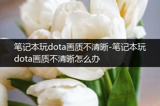 笔记本玩dota画质不清晰-笔记本玩dota画质不清晰怎么办