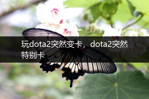 玩dota2突然变卡，dota2突然特别卡