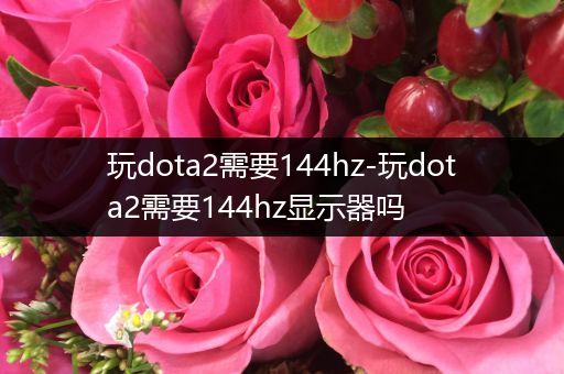 玩dota2需要144hz-玩dota2需要144hz显示器吗