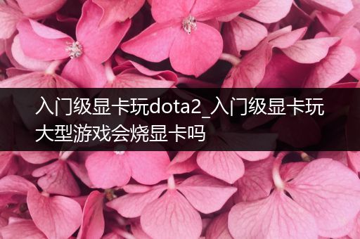 入门级显卡玩dota2_入门级显卡玩大型游戏会烧显卡吗