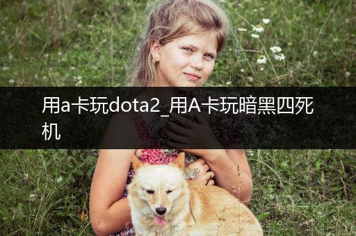 用a卡玩dota2_用A卡玩暗黑四死机