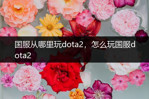 国服从哪里玩dota2，怎么玩国服dota2