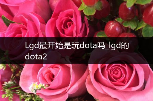 Lgd最开始是玩dota吗_lgd的dota2