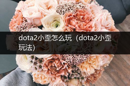 dota2小歪怎么玩（dota2小歪玩法）