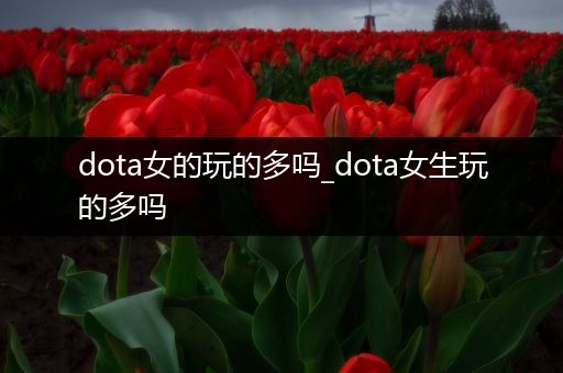 dota女的玩的多吗_dota女生玩的多吗