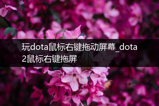 玩dota鼠标右键拖动屏幕_dota2鼠标右键拖屏