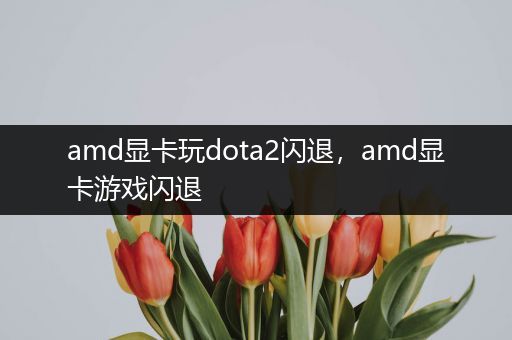 amd显卡玩dota2闪退，amd显卡游戏闪退