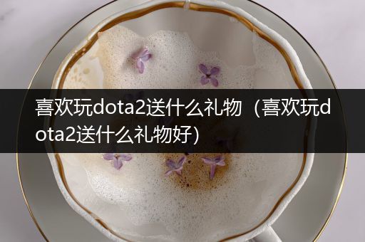 喜欢玩dota2送什么礼物（喜欢玩dota2送什么礼物好）