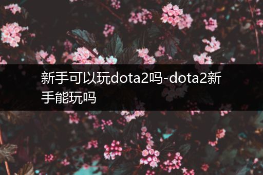 新手可以玩dota2吗-dota2新手能玩吗