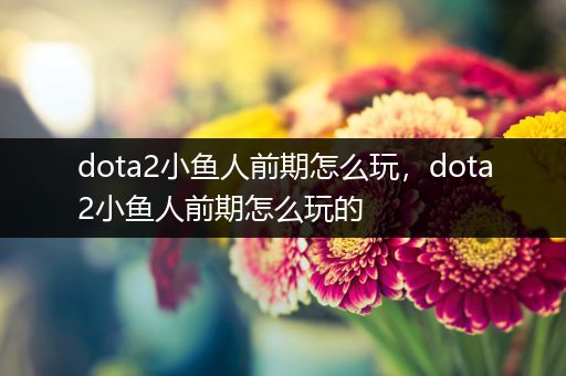 dota2小鱼人前期怎么玩，dota2小鱼人前期怎么玩的
