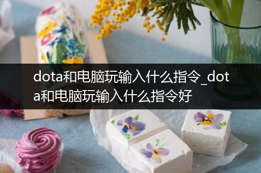 dota和电脑玩输入什么指令_dota和电脑玩输入什么指令好