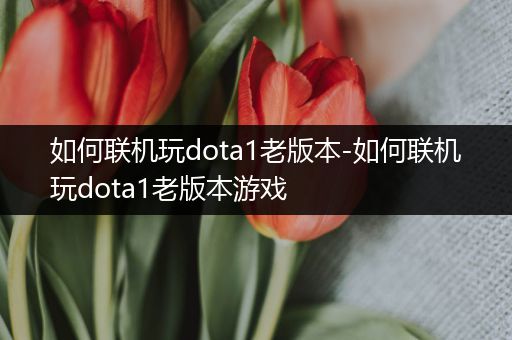 如何联机玩dota1老版本-如何联机玩dota1老版本游戏