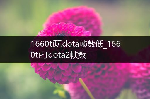 1660ti玩dota帧数低_1660ti打dota2帧数