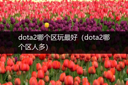 dota2哪个区玩最好（dota2哪个区人多）