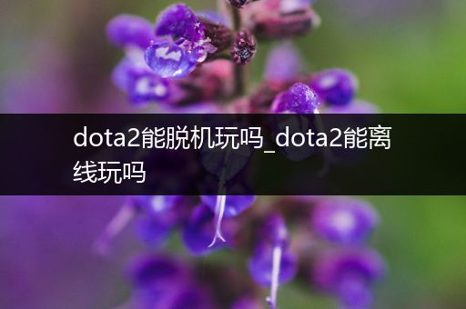 dota2能脱机玩吗_dota2能离线玩吗