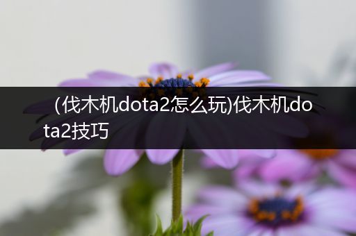 （伐木机dota2怎么玩)伐木机dota2技巧