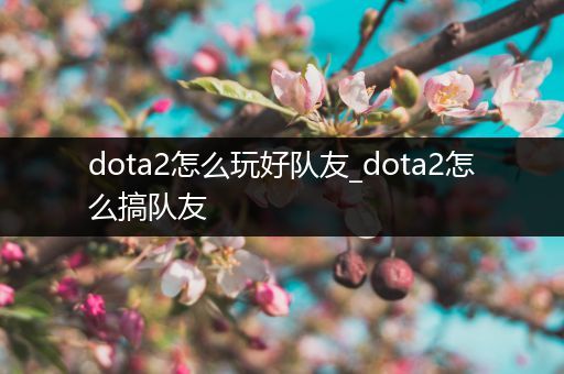 dota2怎么玩好队友_dota2怎么搞队友