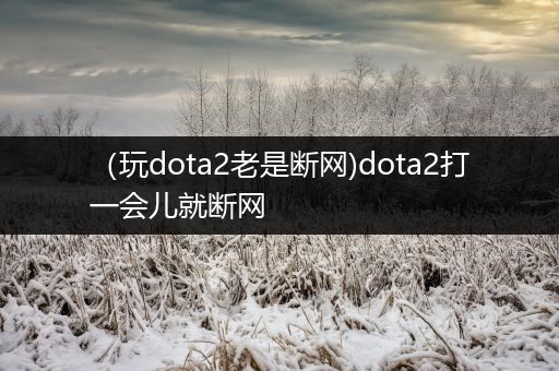 （玩dota2老是断网)dota2打一会儿就断网